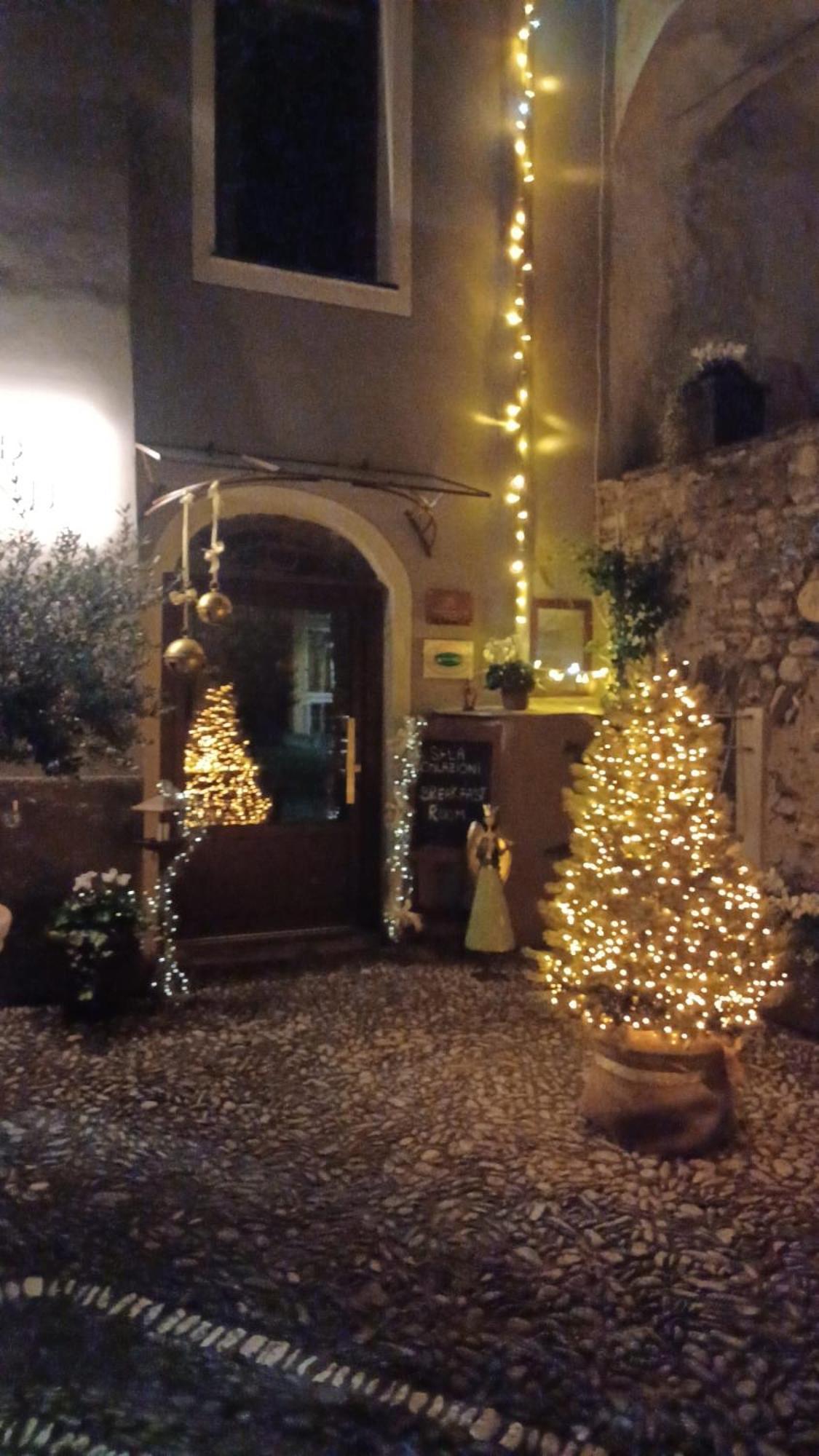 Dantes Pieve di Teco